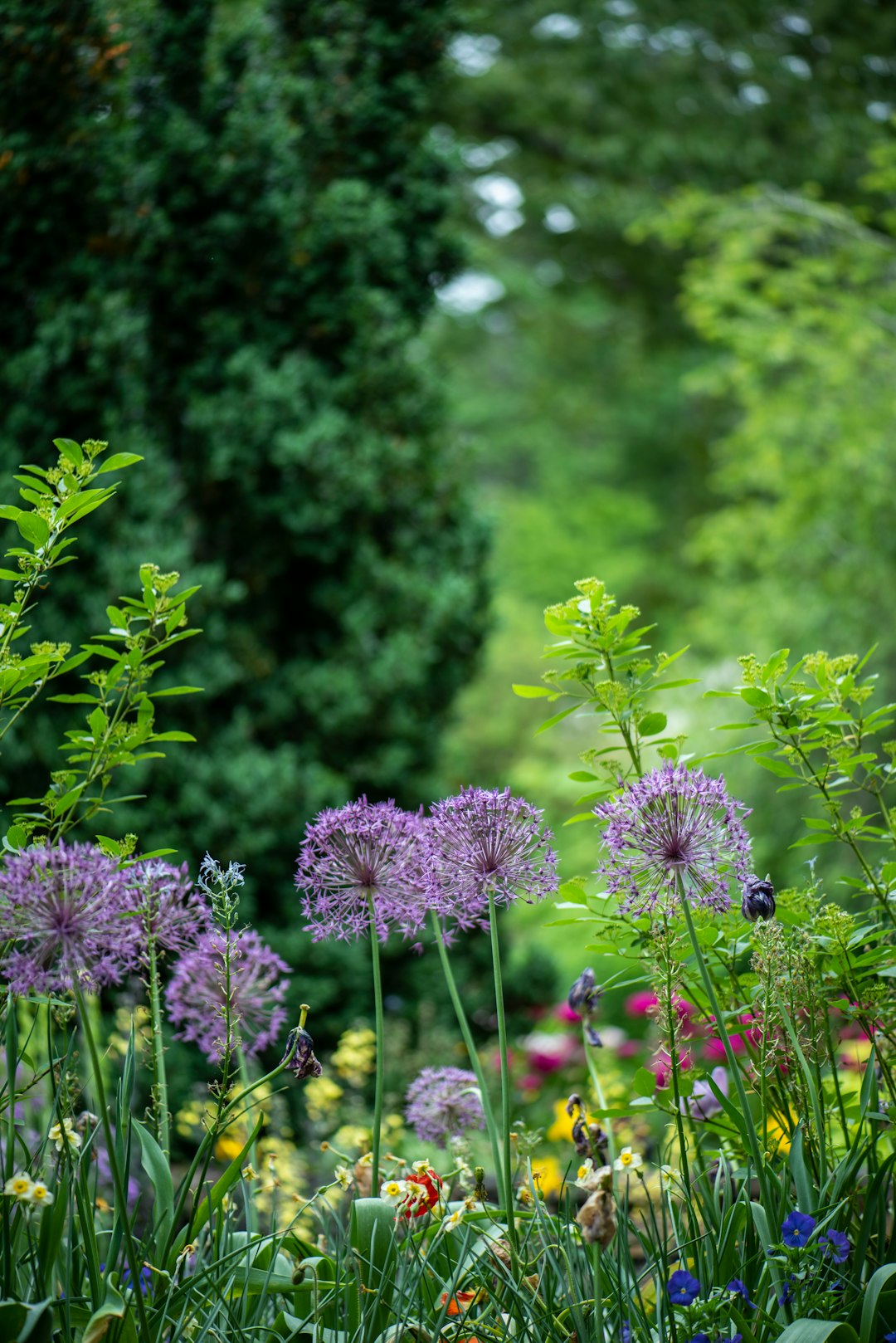 Spring Gardening Essentials